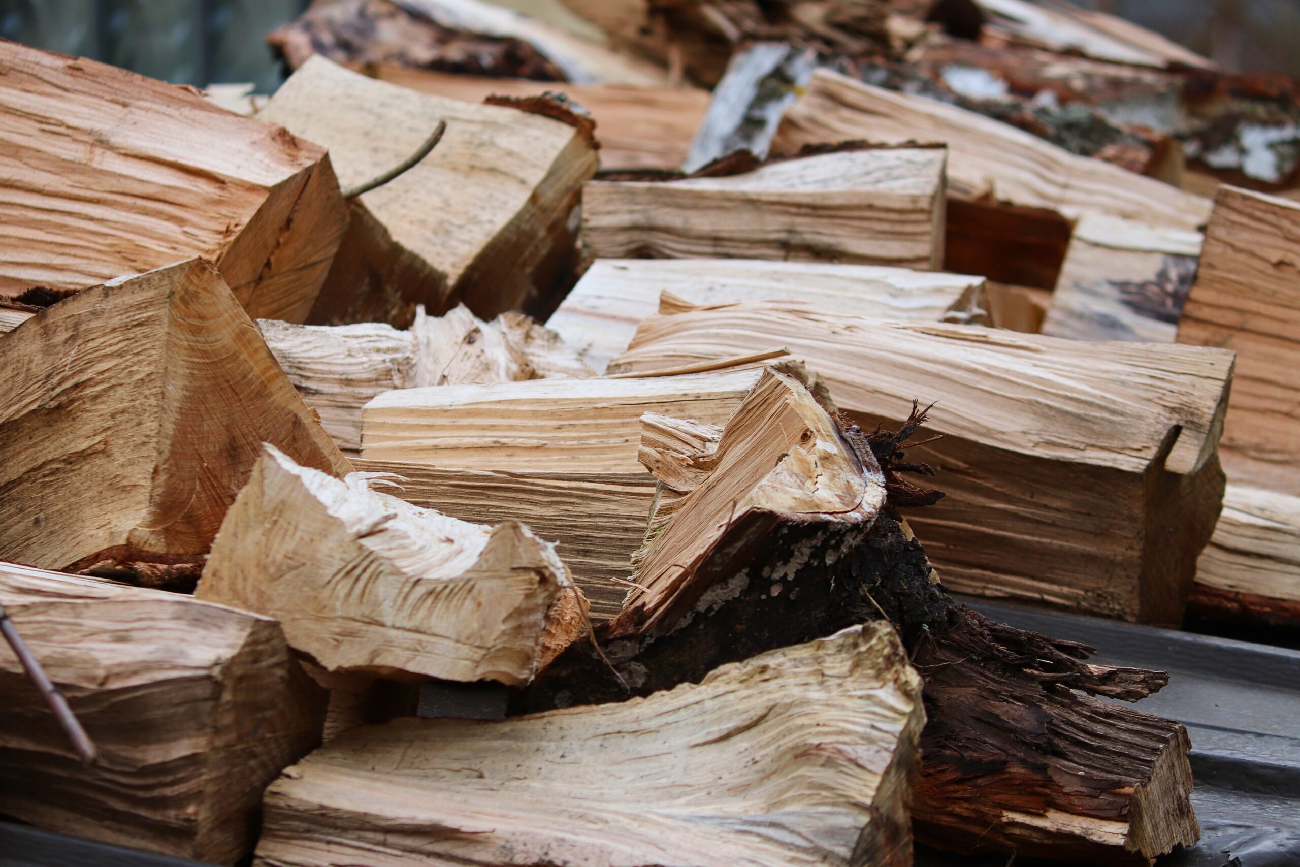 manfredrichter-wood-4910485